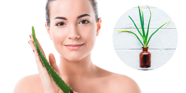 Aloe Vera propiedades
