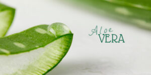 aloe vera propiedades