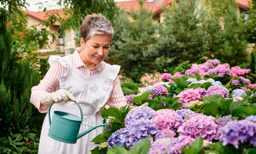Diseñar jardines