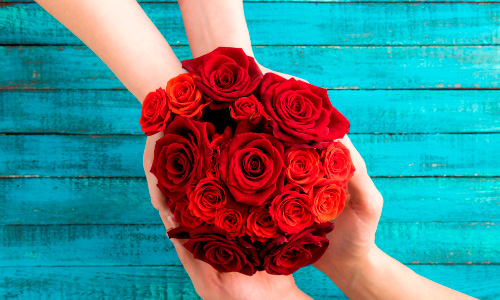 Las rosas Consejos